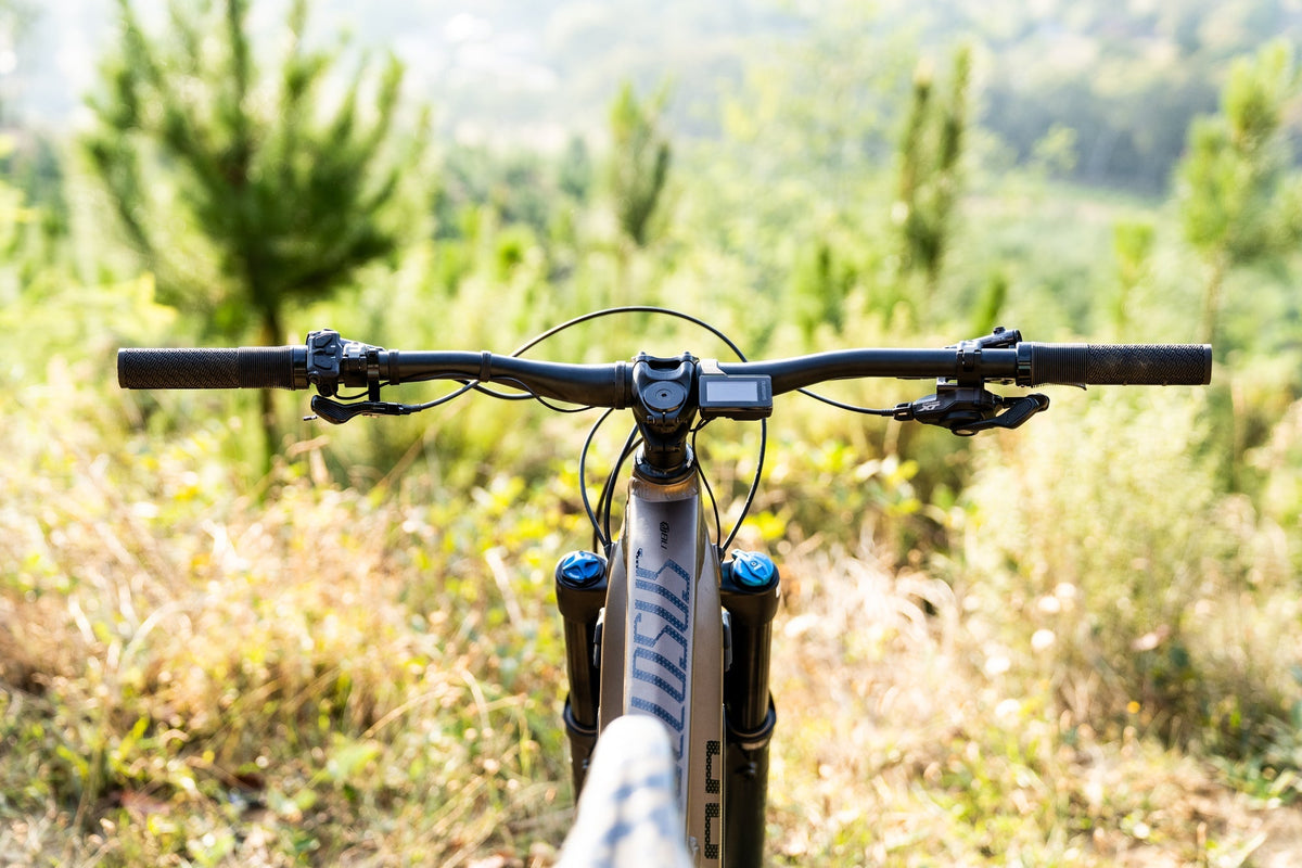 Polygon Collosus N8E - E-Mountain Bike - Electric bike product image 6