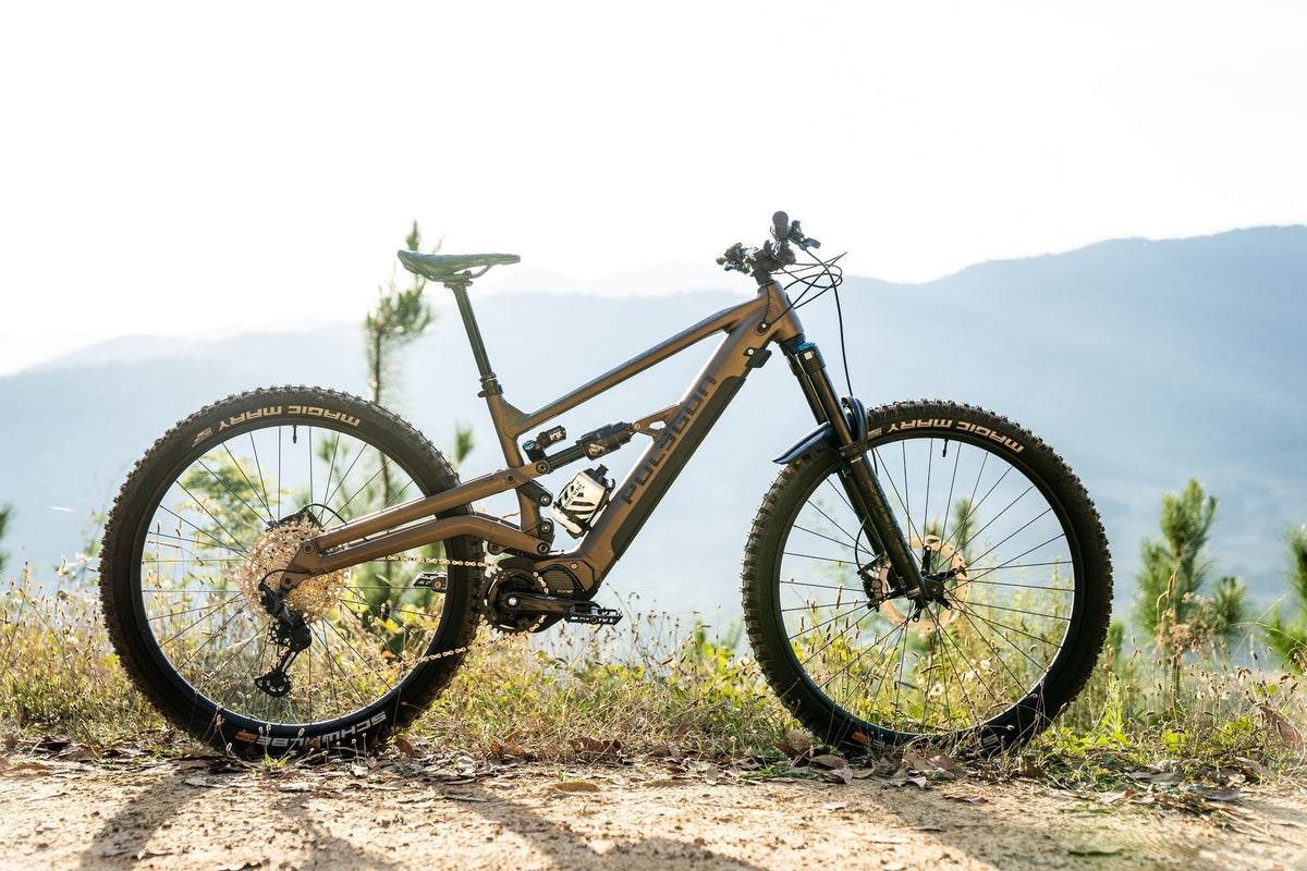Ex-Demo Polygon Collosus N8E 29 - XL #5567 - e bikes for sale product image 2