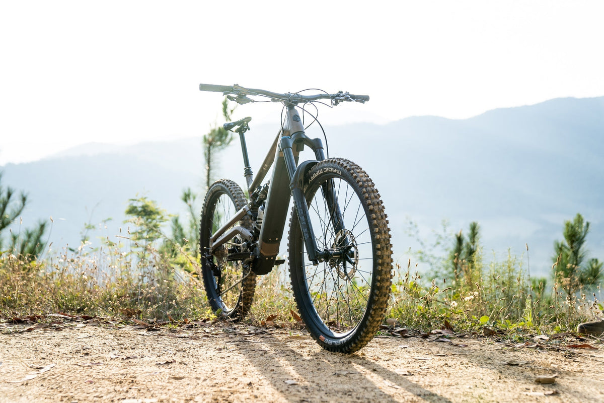 Ex-Demo Polygon Collosus N8E 29 - XL #5567 - electric bikes for sale product image 3