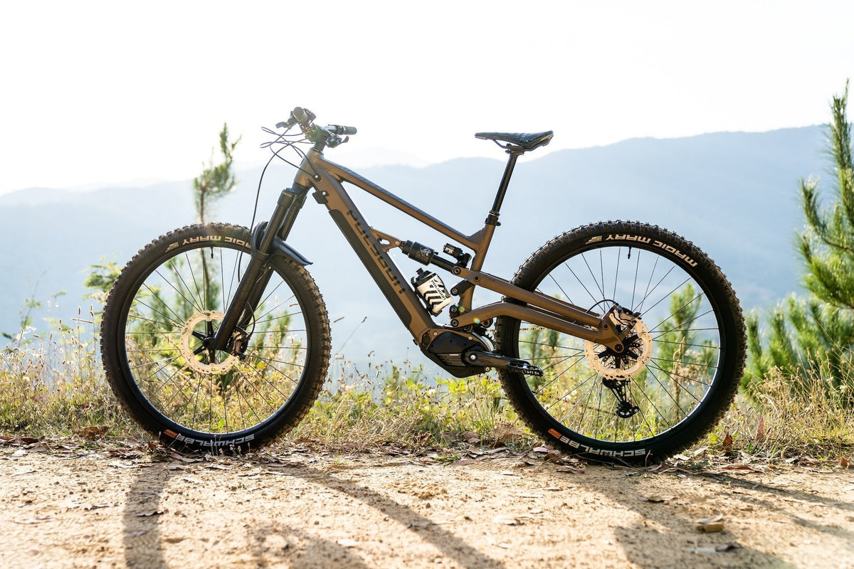 Ex-Demo Polygon Collosus N8E 29 - XL #5567 - Electric bikes product image 4