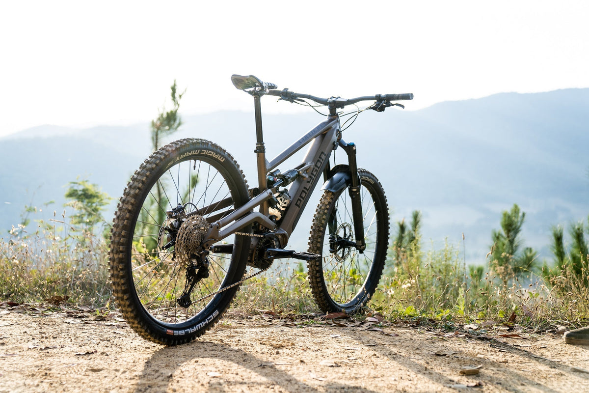 Polygon Collosus N8E - E-Mountain Bike - e bikes for sale product image 4