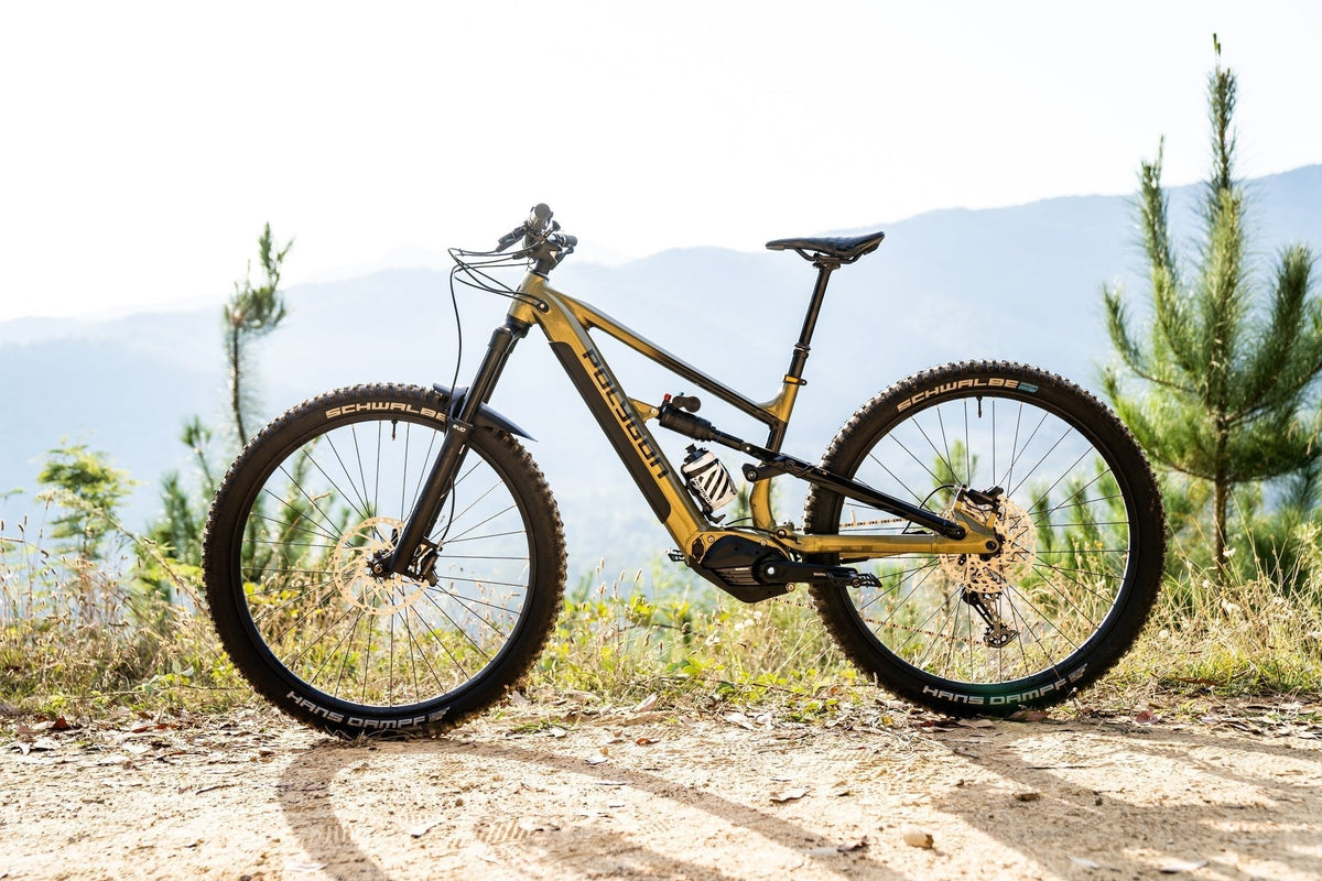ebikes
