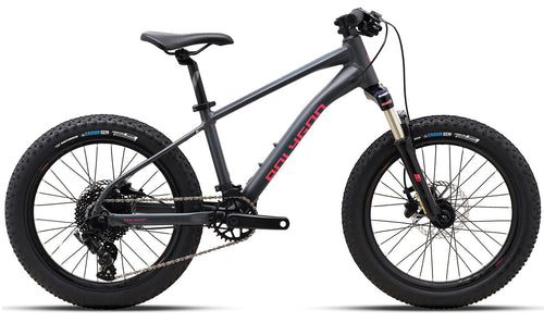 Polygon Xtrada 20 - Kids Mountain Bike - kids bike