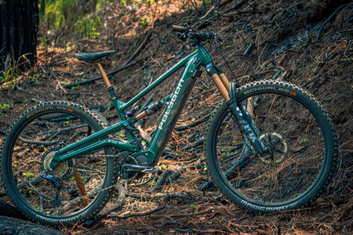Polygon Collosus N8XE - E-Mountain Bike - e bike product image 2