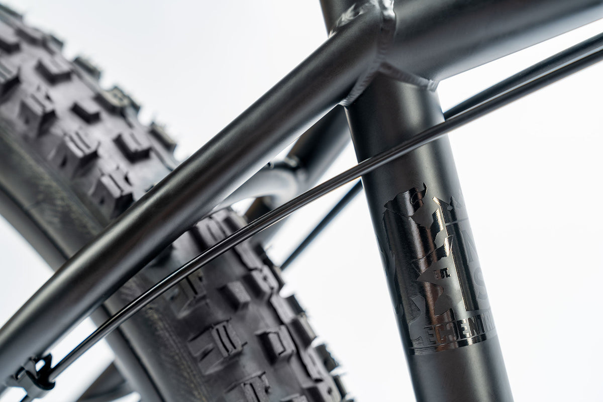 NS Bike Eccentric Cromo 29 Hardtail Frameset - bike parts product image 8