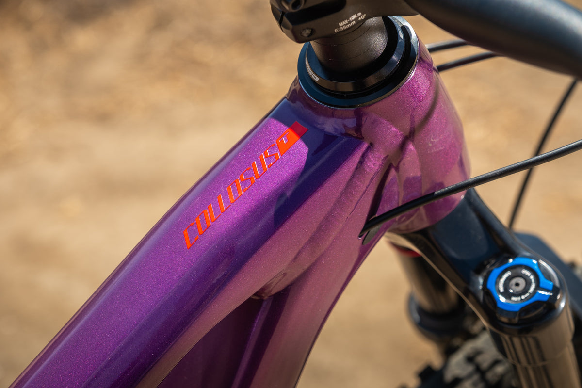 Polygon Collosus T6 - All-Mountain Bike