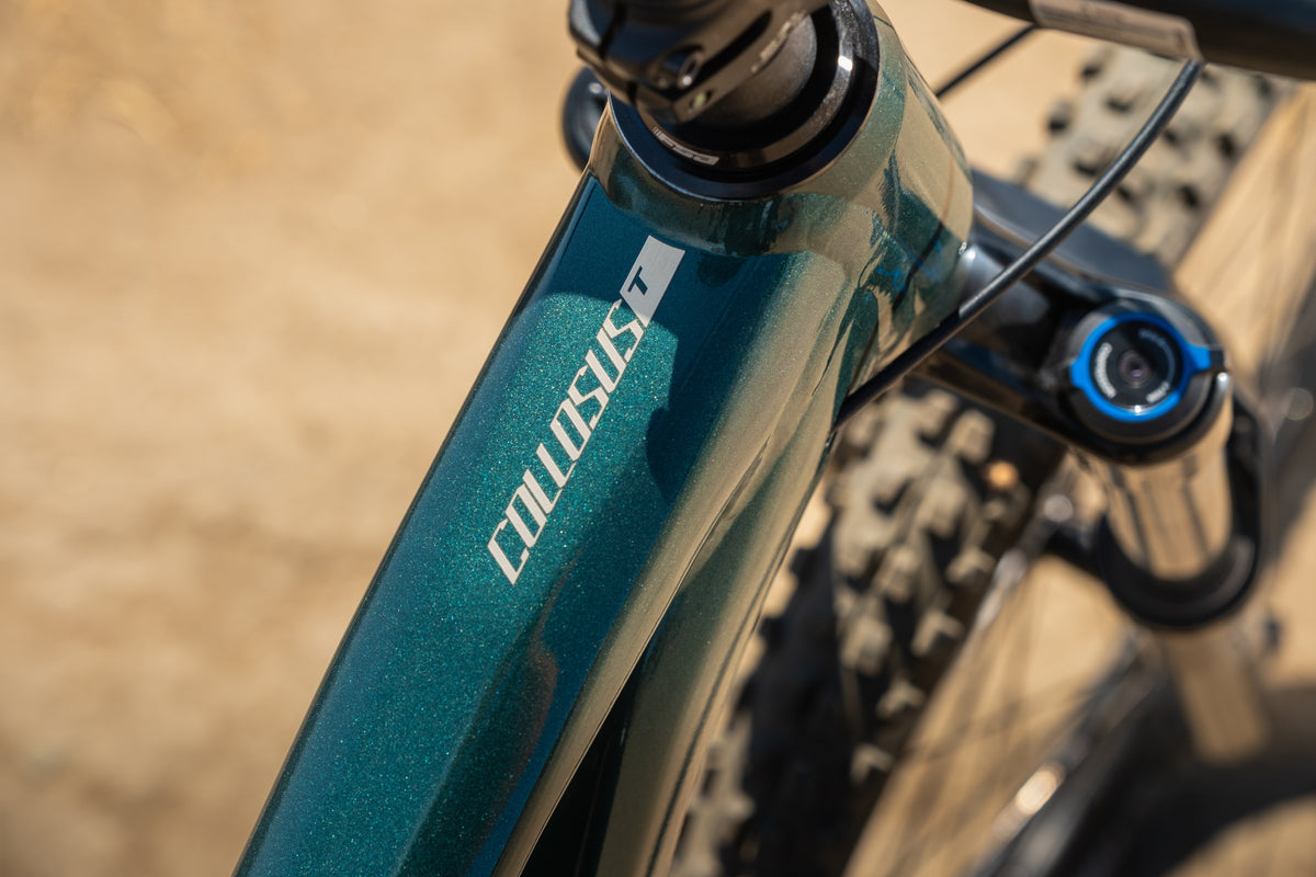Polygon Collosus T5 - All-Mountain Bike