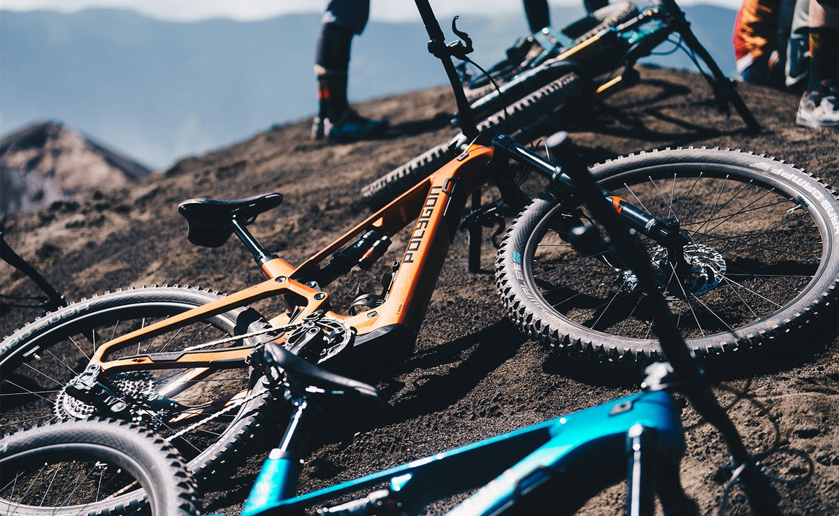 Polygon Collosus TLE 8 - Bosch Carbon eMTB - Electric bikes product image 13