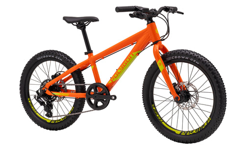 Polygon Premier 20 Disc EVO - Kids Mountain Bike - kids bike product image 2