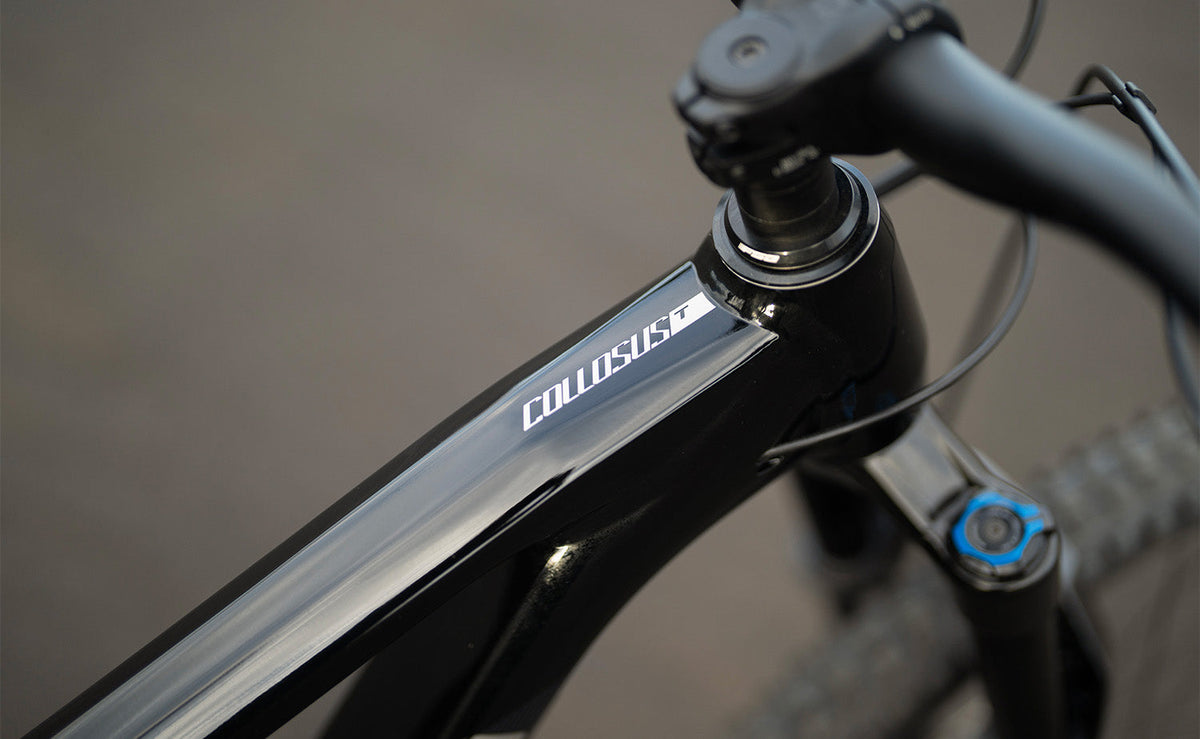 Polygon Collosus T6 - All-Mountain Bike - full suspension mountain bikes product image 11