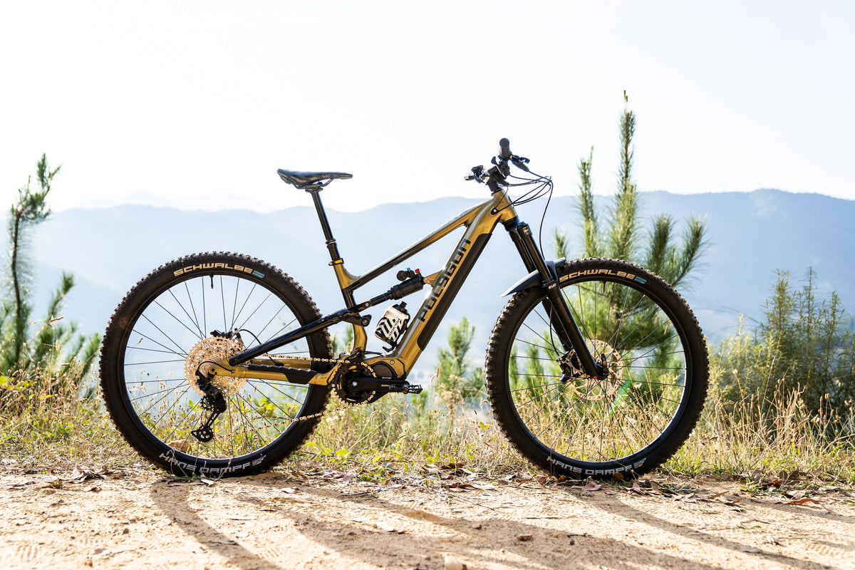 Electric Bike