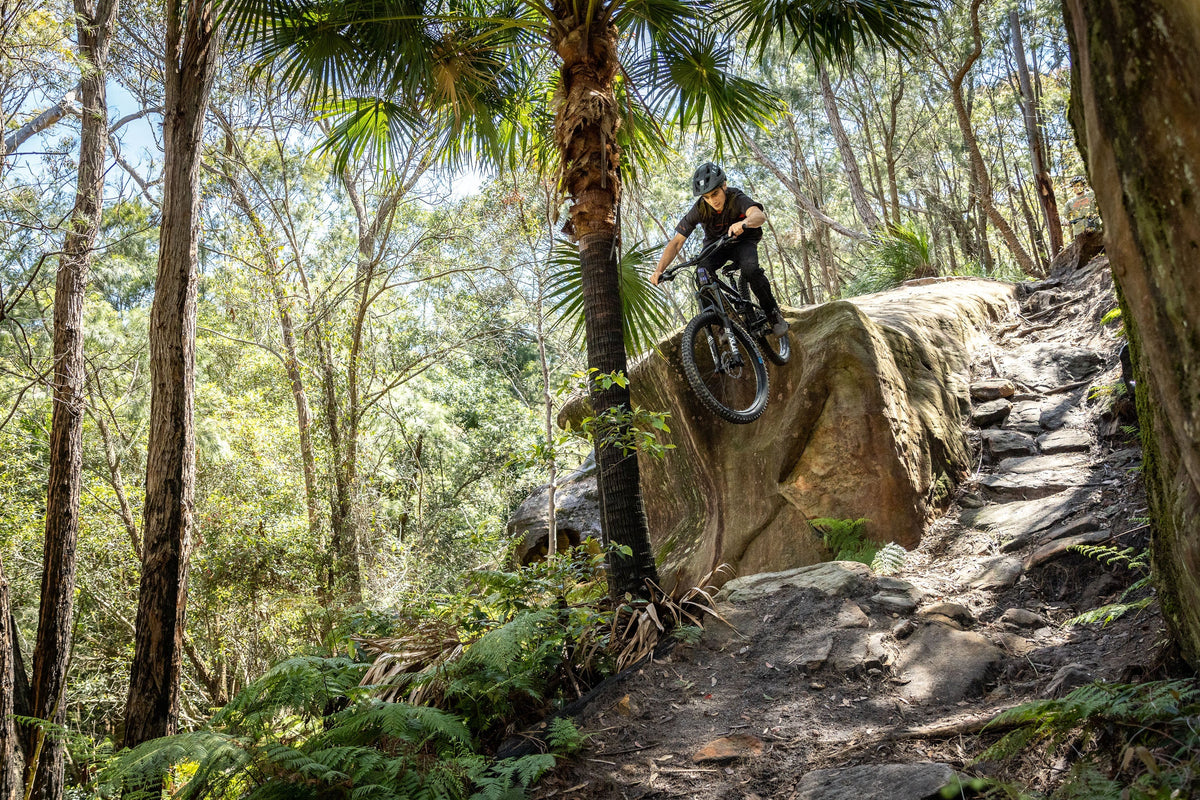 Polygon Siskiu T8 - Mountain Bike - dual suspension mountain bike product image 9