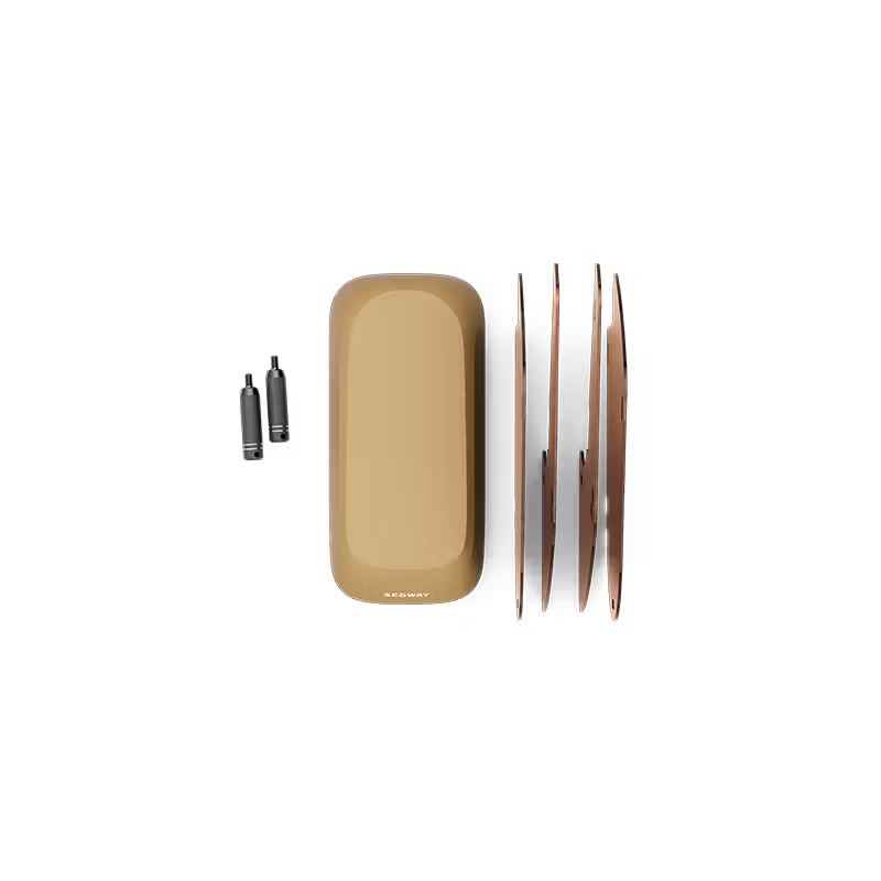 Segway eBike MUXI Passenger Kit